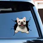 6 шт.компл. трещины забавная наклейка для автомобилей собак Съемный ПВХ наклейки для авто оконная наклейка мотоциклы для стайлинга