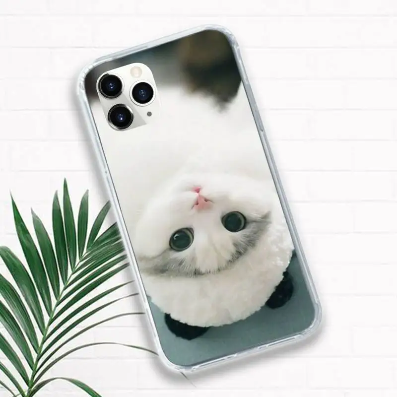 

cute cat animal Phone Case Transparent for iPhone 11 12 mini pro XS MAX 8 7 6 6S Plus X 5S SE 2020 XR