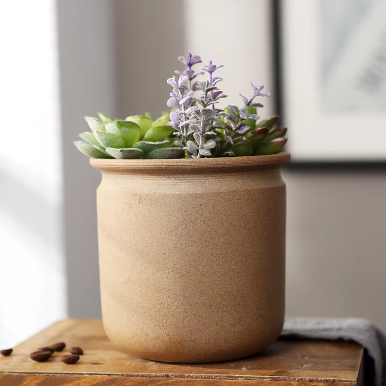 Пурпурный песок Ретро суккулент растительный ожог узор дышащий мясистый горшок