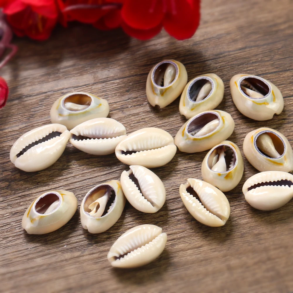 5 шт. подвеска в виде ракушек | Украшения и аксессуары