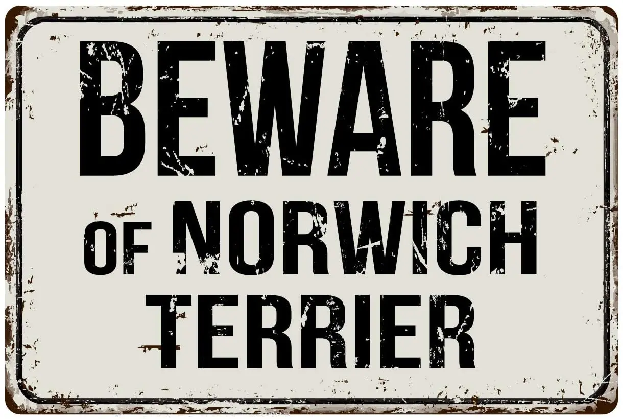 

415VS Beware of Norwich Terrier 8 x 12 Vintage Aluminum Retro Metal Sign