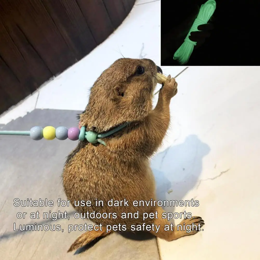 

Portable Wearable Small Animal Nylon Leash Creative Lizard Leash Non-slip for Chameleon