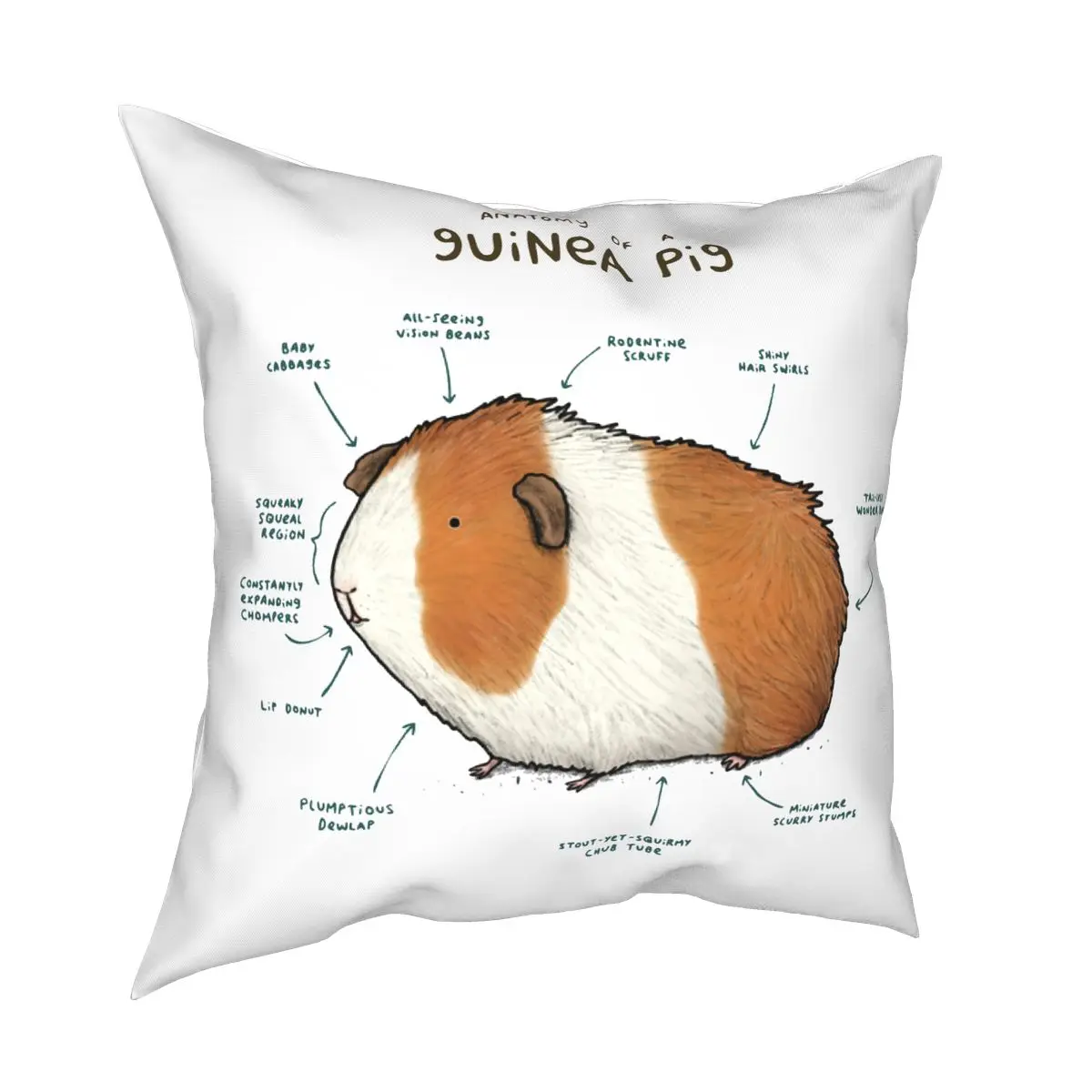 

Anatomy Of A Guinea Pig Pillowcase Home Decor Cute Kawaii Cushion Cover Throw Pillow for Sofa Double-sided Printing Novelty