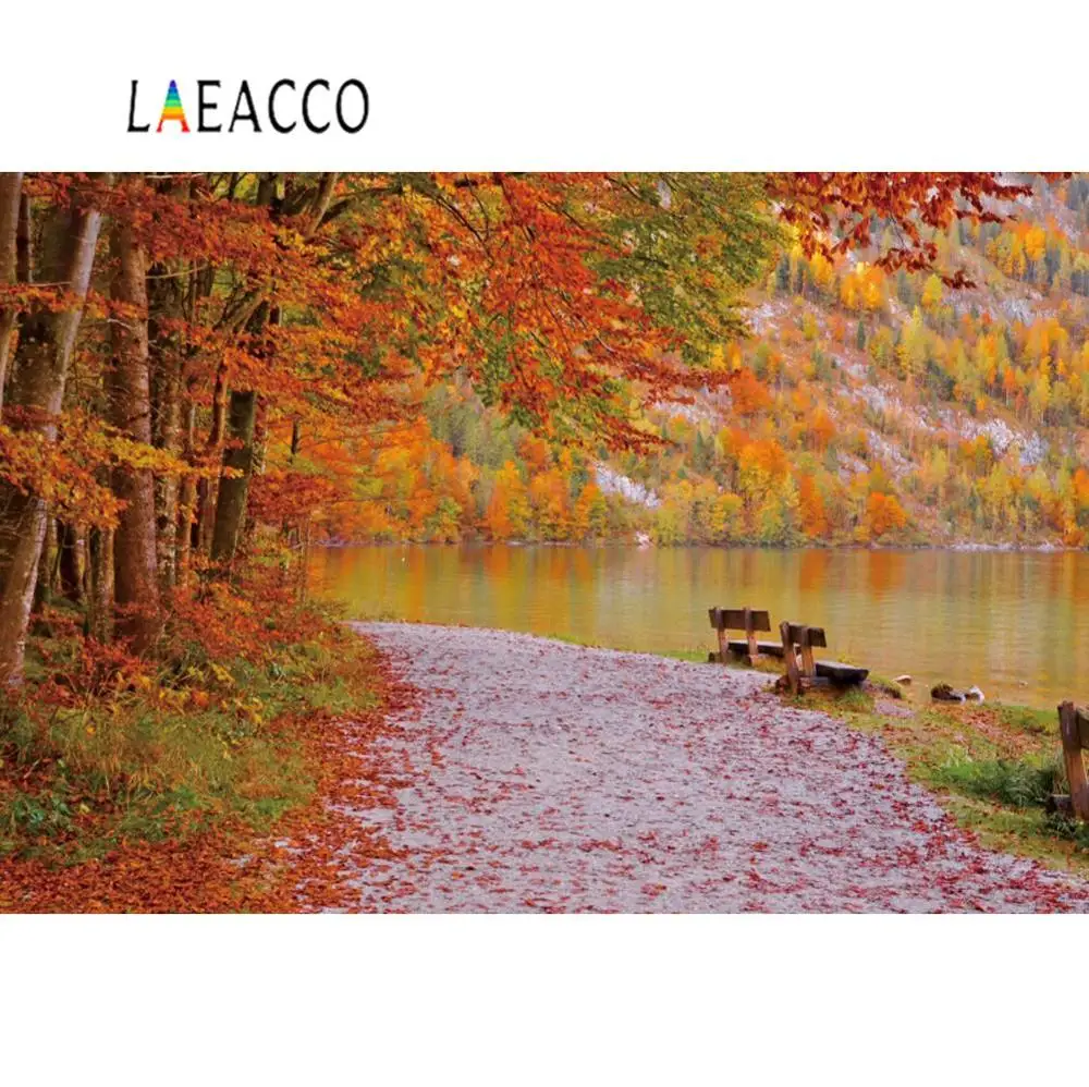 Laeacco Фото фоны осенние карты Lakeside Гора опавшие листья сцена фотографические