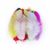 5 10 cm natural dyed pheasant rooster feathers craft for dress clothes sewing handwork crafts plumes decoration 50pcslot