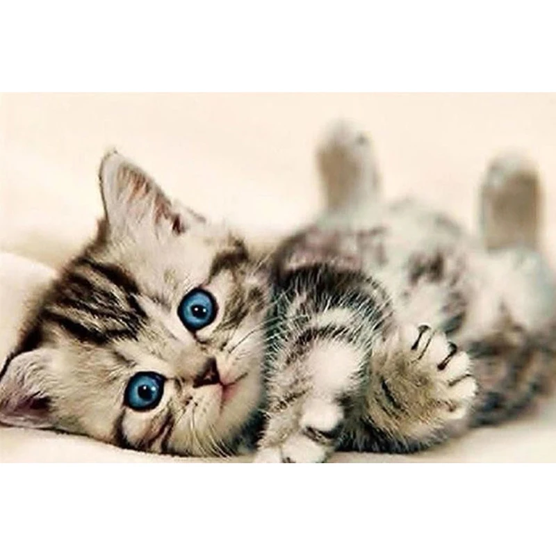 Алмазная картина 5d &quotсделай сам&quot вышивка крестиком милый котенок алмазная для