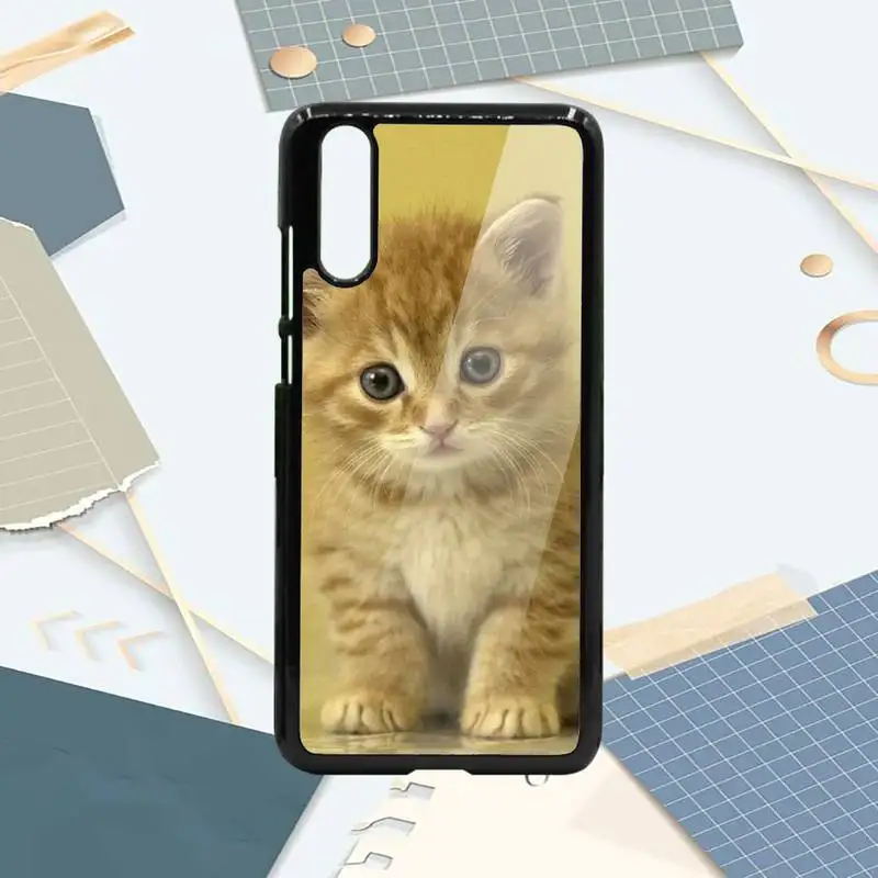 

cat Cute animal pattern fashion cover Phone Case PC For Samsung galaxy S note 8 9 20 10 e lite2019 plus pro ultra