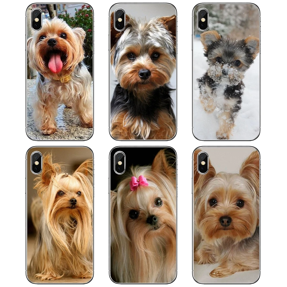 

Silicone Case Yorkshire-terrier-dog-puppy-Pattern For Apple iPhone 10 11 12 Pro Mini 4S 5S SE 5C 6 6S 7 8 X XR XS Plus Max 2020