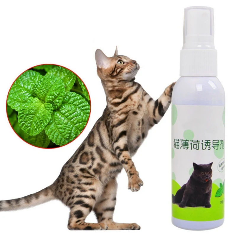 

Cat Toy Mint Natural Organic Premium Catnip Menthol Flavor Spray Cat Toys Supplies