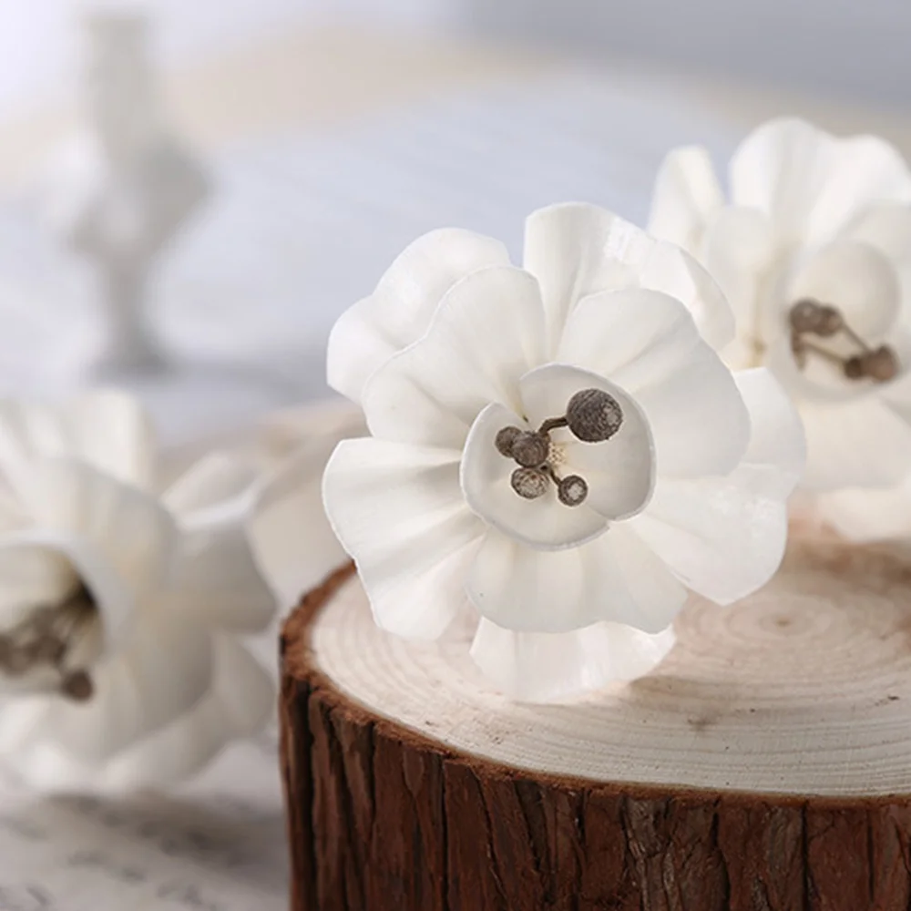 5 шт. лоза Цветочная веточка Духи диффузор палочки волнистые Ротанговые бердовые