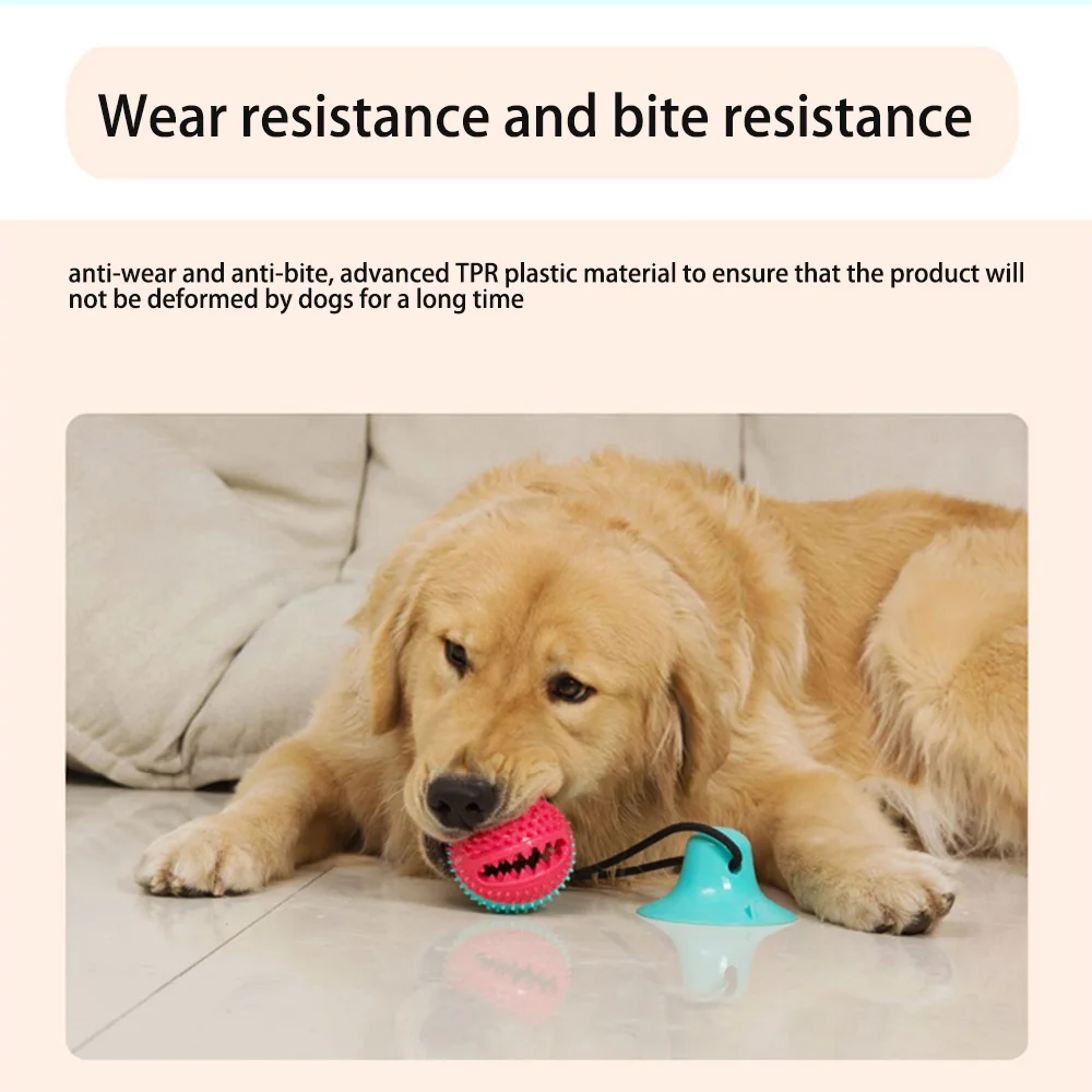 

Dog Interactive Suction Cup Push TPR Ball Toys Elastic Ropes Dog Tooth Cleaning Chewing Playing IQ Treat Toys Pet Puppy Supplies