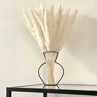 natural real pampas grass table dried flowers decor boho artificial plants mariage home decoration wedding christmas accessories