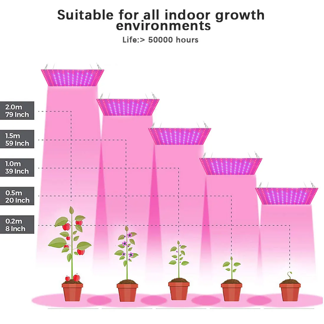 

Full Spectrum Indoor LED Grow Lamp For Plant Growing Light For Indoor Plant Grow Tent Hydroponic Plant High Quality Lights