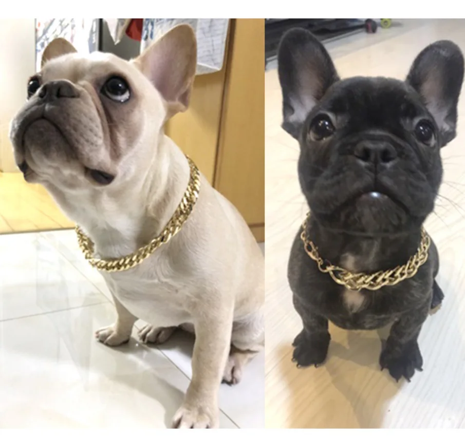 

French Bulldog Type Hip-hop Style Big Gold Chain Small and Medium Dog Collar Pet Necklace Jewelry Accessories