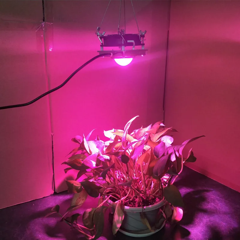 

COB Full Spectrum Grow Light 300W High Luminous Efficiency Growing Lamp for Indoor Garden Plants Phytolamp Grow Box Greenhouses