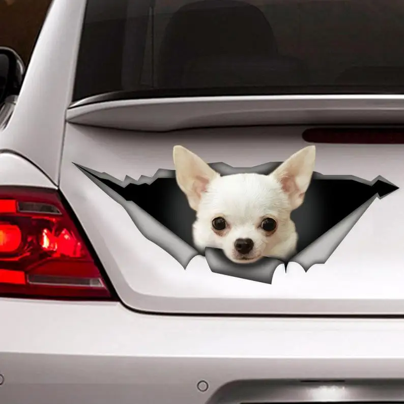 

White Chihuahua sticker, chihuahua car decal,pet decal, dog sticker
