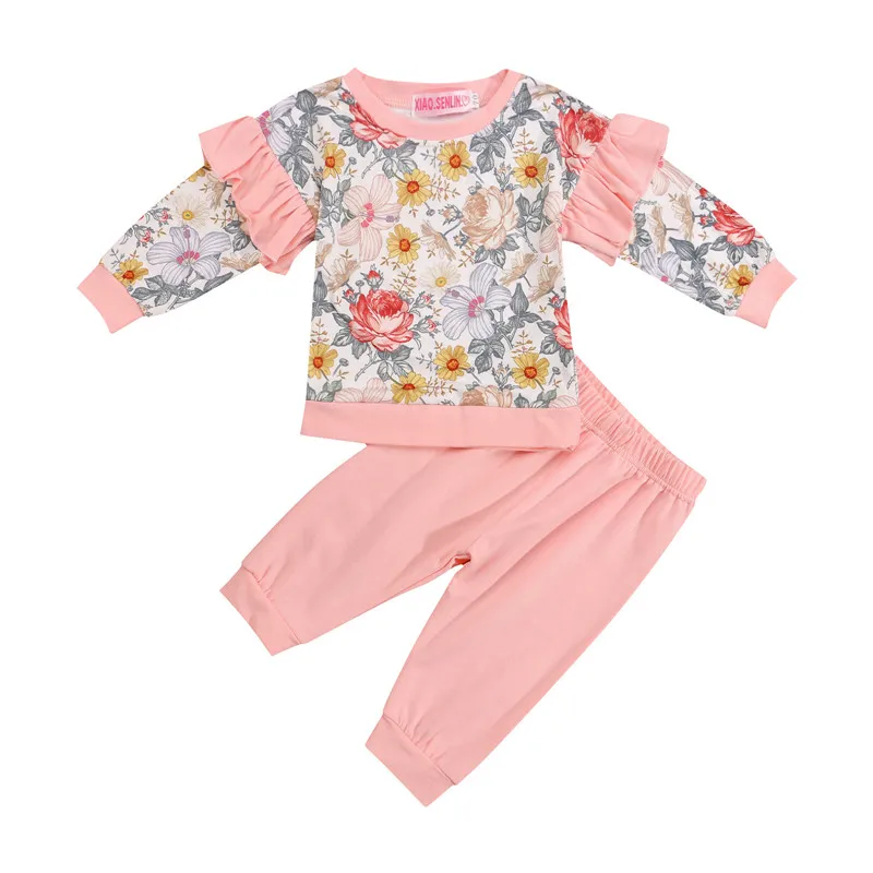

Toddler Girls 2Pcs Fall Outfits, Casual Long Sleeve Floral Print Pullover and Pants Set