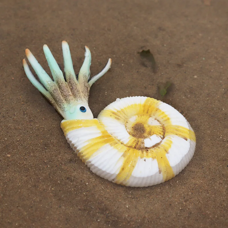 

Sea Life Animal Simulation Ancient Creature Nautilus Model Conch Snail Model Action Figure PVC Cognition Collection Toy Kid Gift