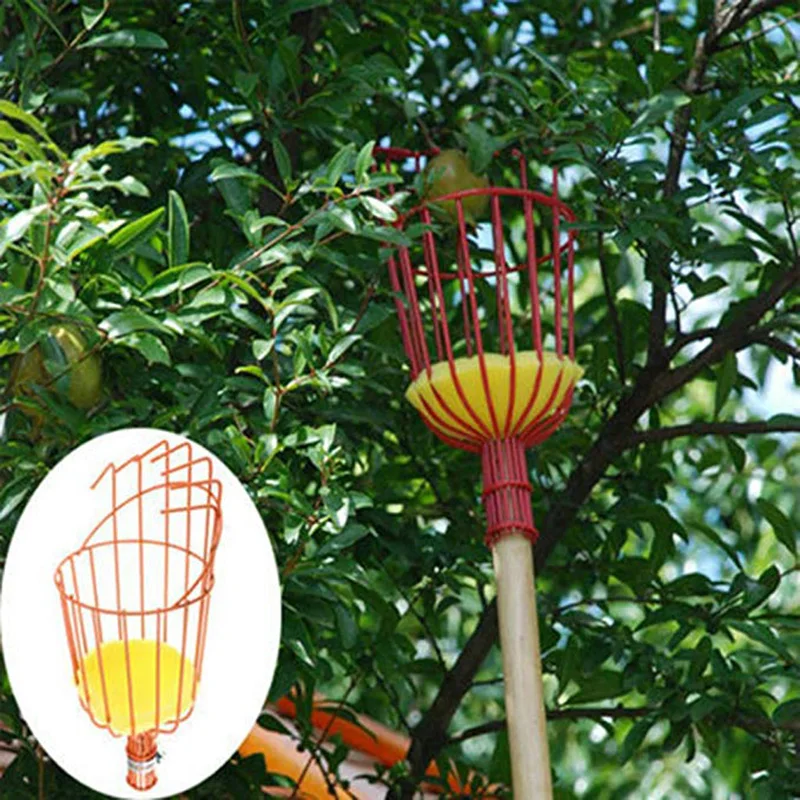 

Outdoor Aluminum Deep Basket Garden Tools Fruit Picker Head Metal Fruit Picking Tools Fruits Catcher Harvest Picking