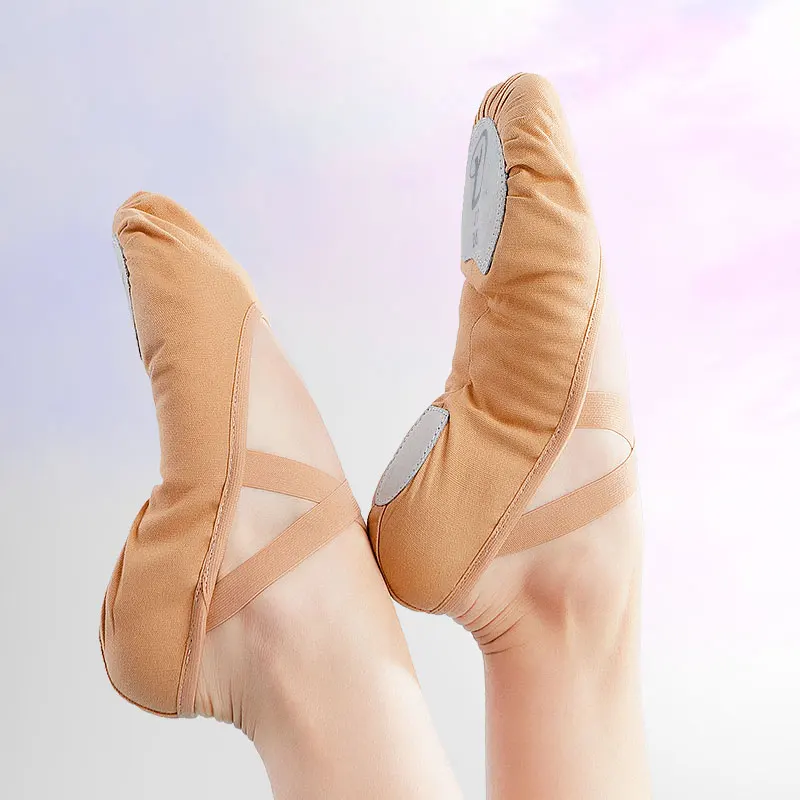 

Женские Балетные тренировочные туфли для взрослых и детей, балетные туфли с мягкой подошвой, профессиональные холщовые танцевальные туфли ...