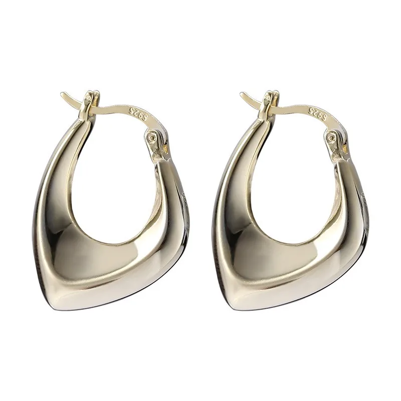 

Irregular Geometric Gold Hoop Earrings For Women 100% 925 Silver Earings Fashion Jewelry High Quality Flyleaf Minimalist Flyleaf
