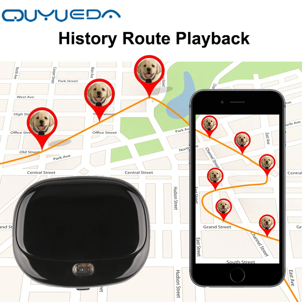 Mini 4G Pet GPS Tracker Waterproof Dog Collar With Dazzle Lights Animal Locator Support Geo-Fence Low Battery Alarm WIFI | Автомобили и