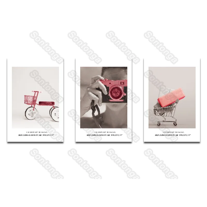 

Posters and Prints Wall Art Pink Bike Canvas Painting Nordic Figure Poster Home Decoration Modern Fashion for Living Room