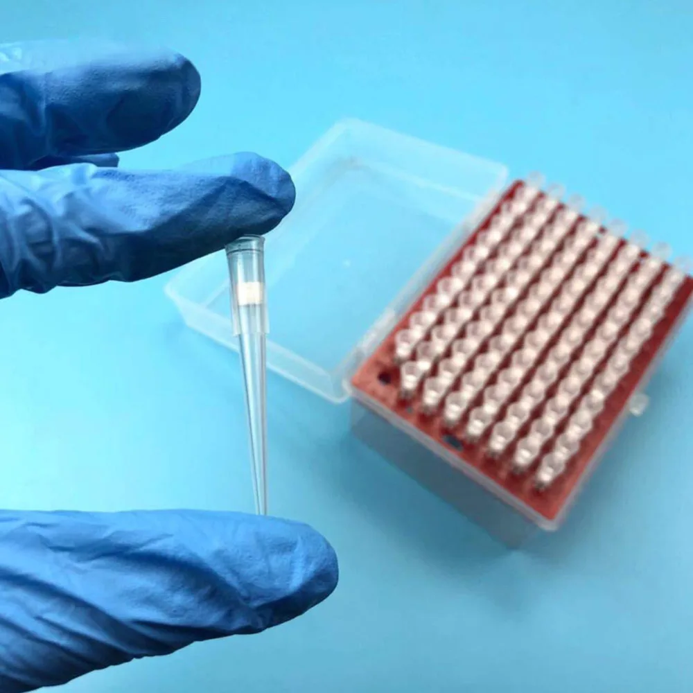 

300pcs Transparent Liquid Pipette Pipettor Tips Nozzle Tips Accessories