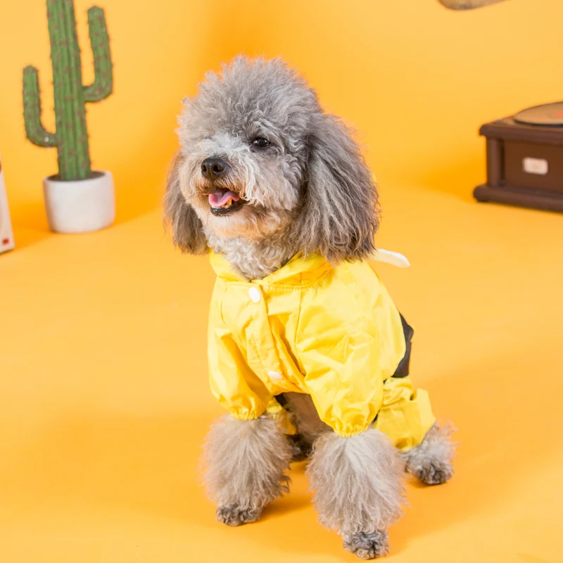 Водонепроницаемый дождевик Hipidog для маленьких собак |