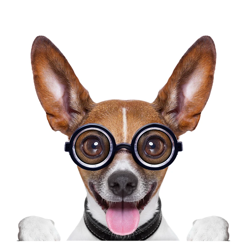 

Забавные наклейки Three Ratels QD110 с изображением милой собаки, украшение для детской комнаты, наклейки, Подарочные наклейки