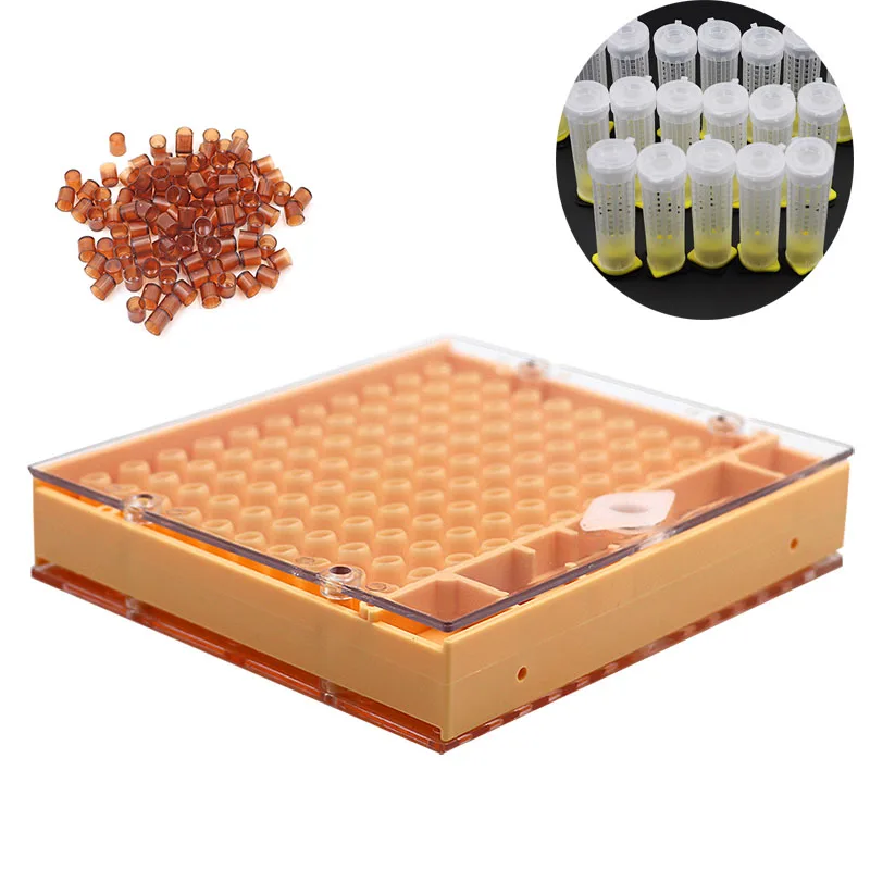 

Plastic Bee Cell Cups Cup kit Queen Cage Beekeeping Tools Nicot Queen Rearing System Equipment Set Cultivating Box