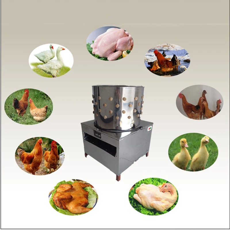 

50 Model Poultry Depilation Machine Bird Plucker ,Hair Removal Machine 220V Chicken Defeathering Electric Duck Plucker