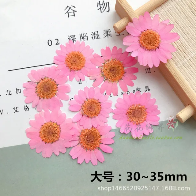 12 шт окрашенные белого цвета с украшением в виде кристаллов и принтом хризантем