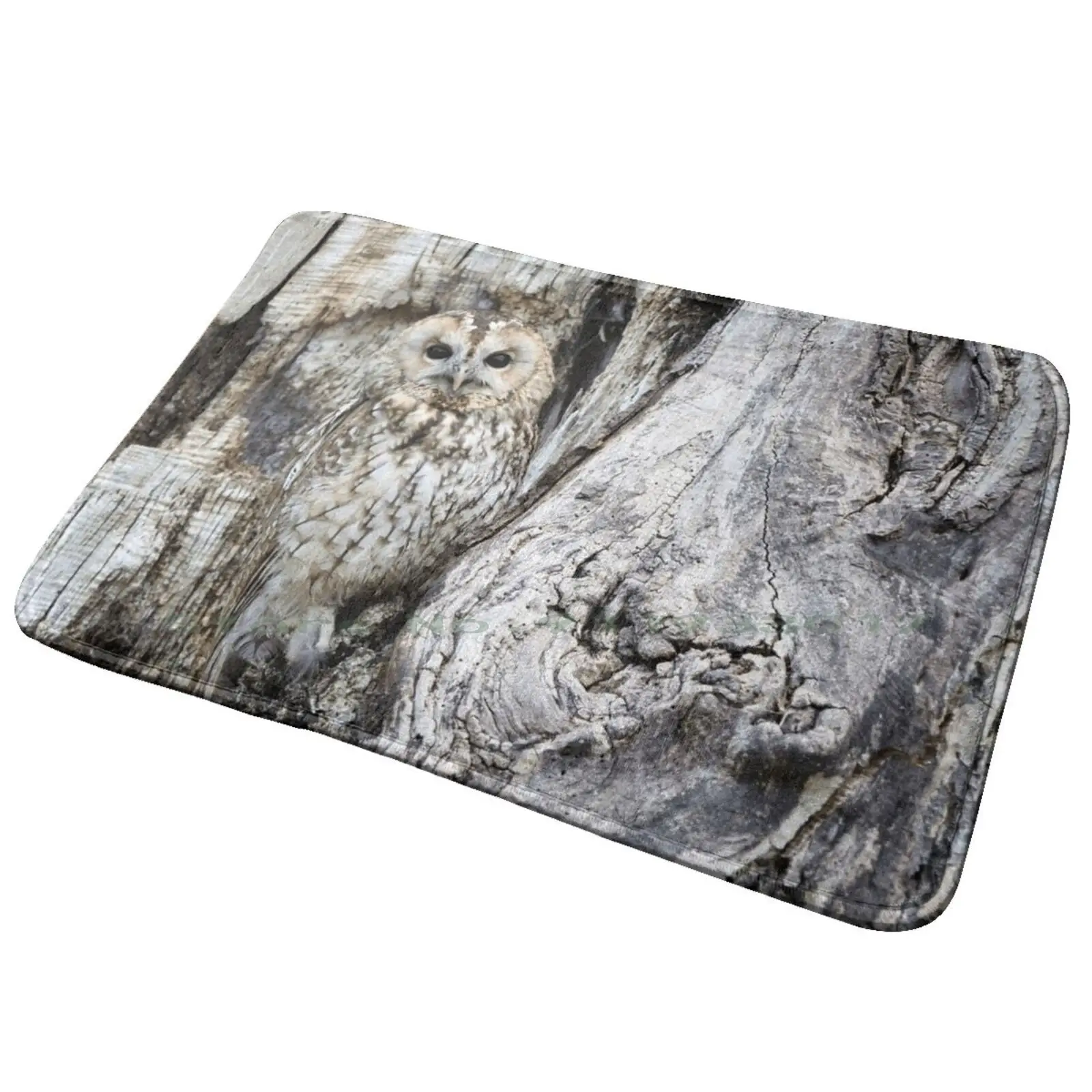 Коврик для входной двери в виде совы ванны коврик поцелуев любителей искусства