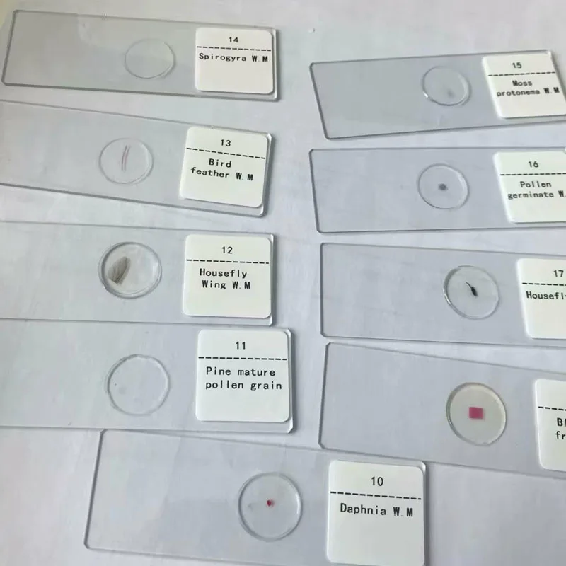 Микроскоп биологический микроскоп полуфабрикат слайды для биологического