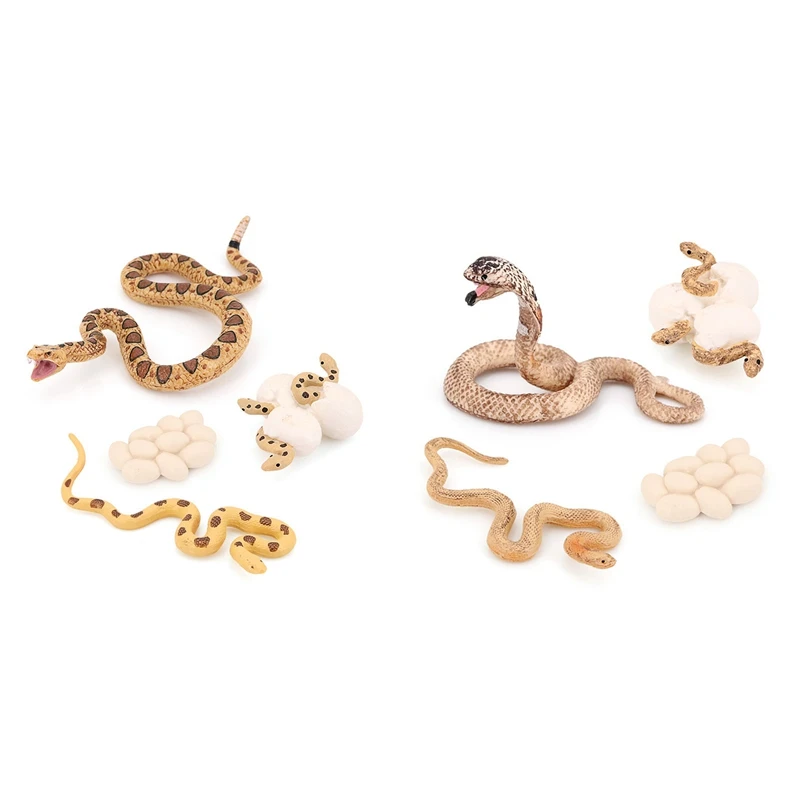 

Realistic Animal Life Growth Cycle Biological Model Toys Snake Growth Cycle Biological Model