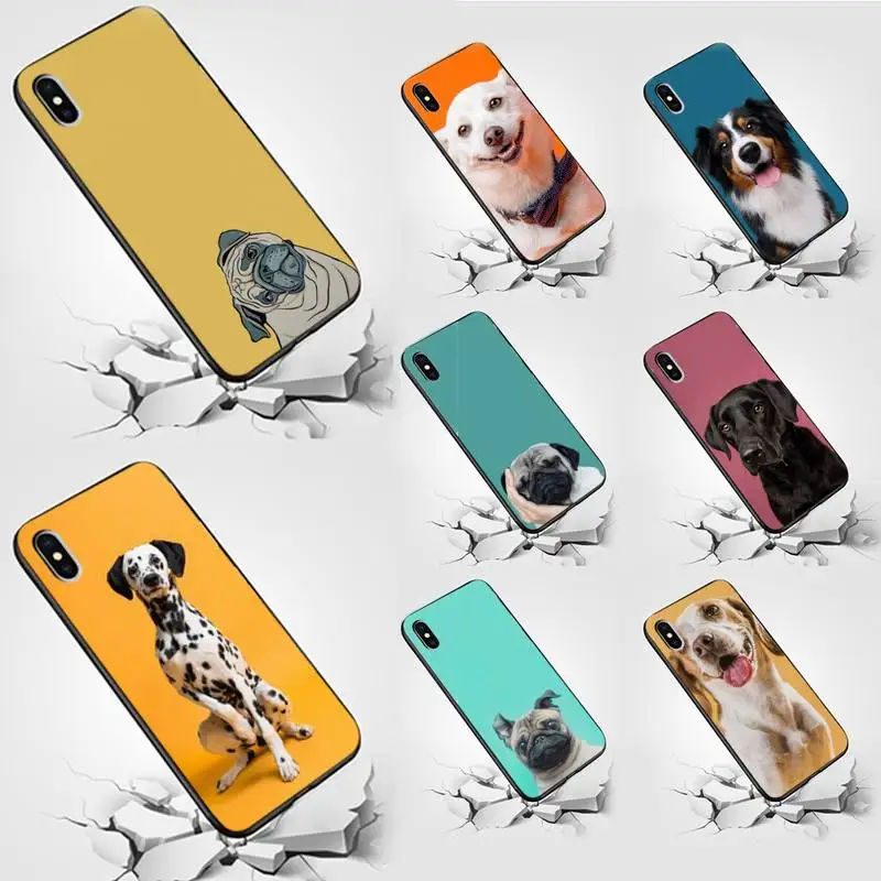 Dog Fashion Clear Soft Phone Case for Huawei mate9 10 20X 30 40 pro PSmart2019