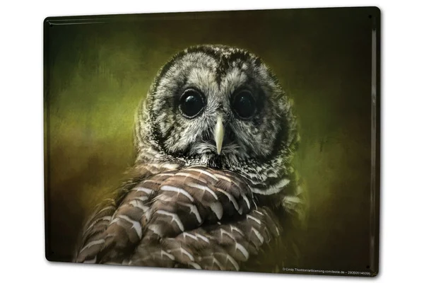 

Tin Sign Bird OWL Coffee Bar Decoration