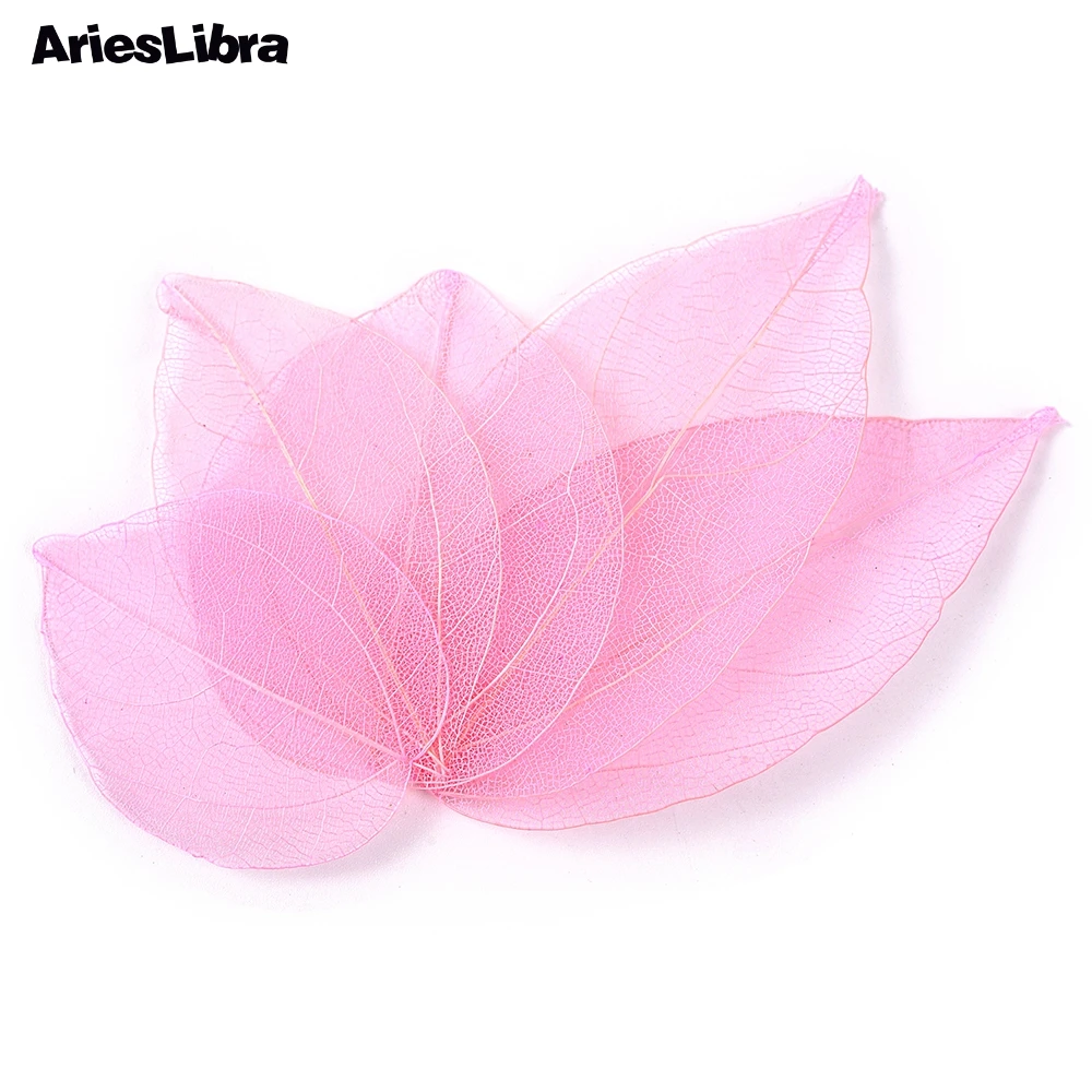 Buy AriesLibra 1 Pack Dried Leaves Nail Decorations 6 Colors Natural Flower Leaf Stickers For UV Gel Polish 3D Art Designs on