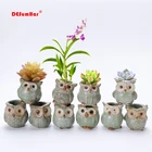 Креативный керамический горшок для цветов в форме совы, 5 шт.набор, 2019, новый керамический горшок для цветов, цветочный горшок для рабочего стола, милый дизайн, горшок для суккулентов
