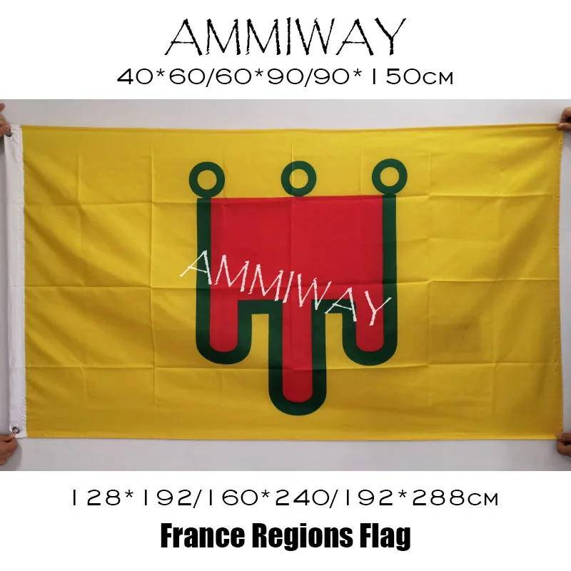 Флаги и баннеры AMMIWAY разных размеров односторонние флагари из полиэстера для