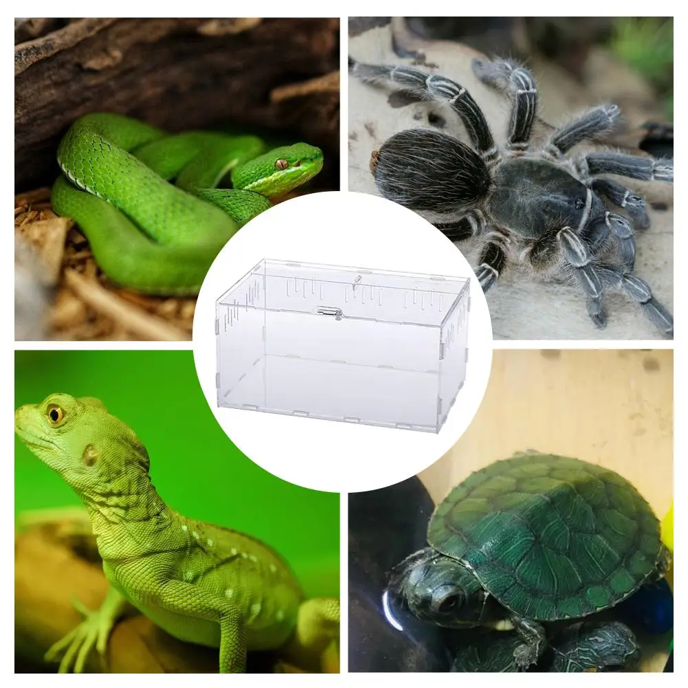 Acrylic Terrarium Spider Breeding Box Reptile Feeding For Climbing Pet Snake Lizard Scorpion Centipede | Дом и сад