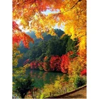 Алмазная живопись, осенние наборы с кленовыми листьями, Рукоделие, сделай сам, алмазная вышивка, пейзаж стразы, мозаичная картина