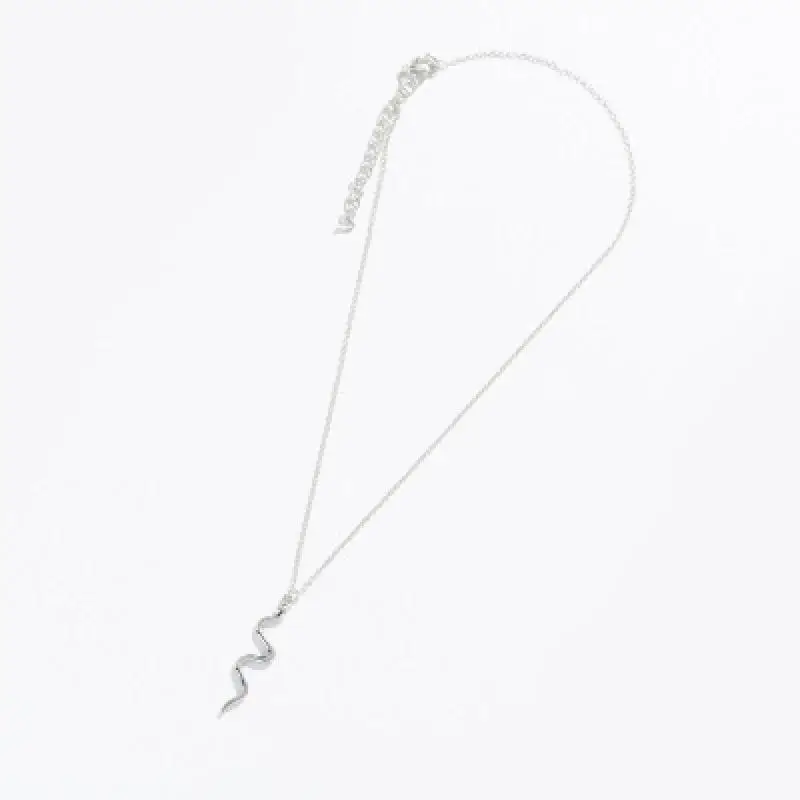 Персонализированные тонкие цепи ожерелье с медальоном в виде змеи для женщин