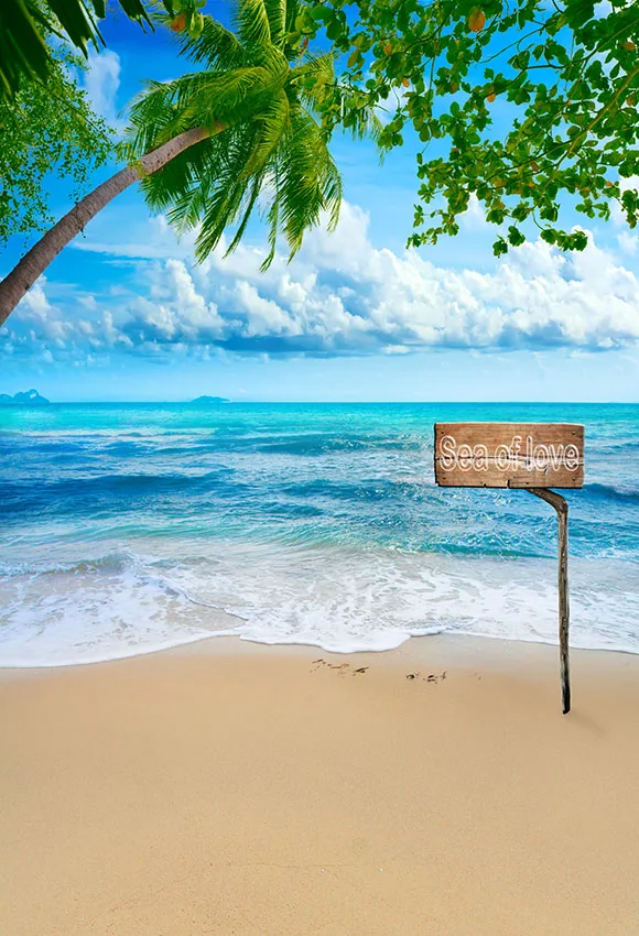 

5x7ft Beautiful View Tropical Paradise Beach Resort. Custom Photo Studio Background Backdrop Vinyl 220cm x 150cm