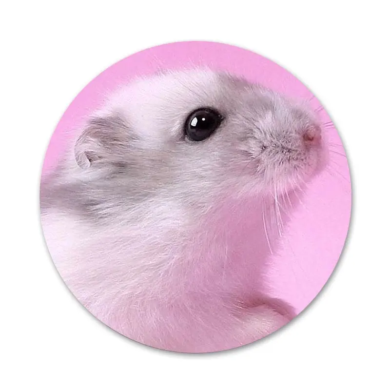 Кролик мышь Хомяк значок для одежды рюкзак украшение подарок | Дом и сад