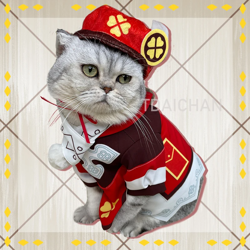 Anime Genshin darbe Klee küçük kedi Loli elbise ceket eşarp şapka üniforma seti Cosplay kostüm fotoğraf sahne köpek evcil hayvan malzemeleri