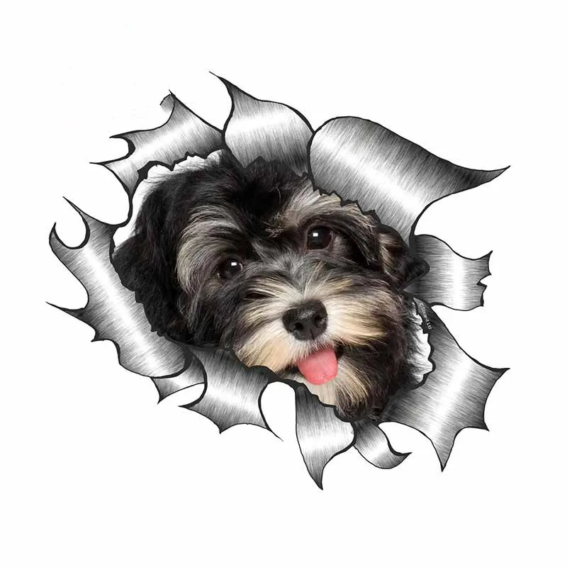 

Car Stickers Havanese Pet Dog Puppy Motif Decorative Motorcycle Decals Accessories Creative Waterproof PVC,13cm*12cm