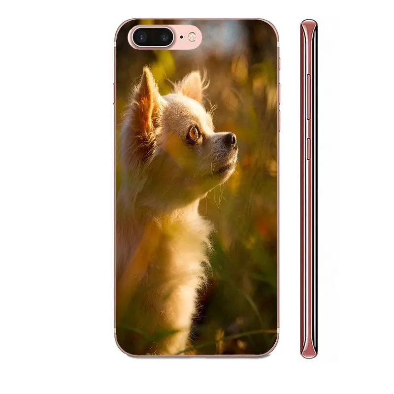 Гибридный чехол для Apple iPhone 11 Pro X XS Max XR 4 4S 5 5C 5S SE SE2 6 6S 7 8 Plus забавный щенок чихуахуа |