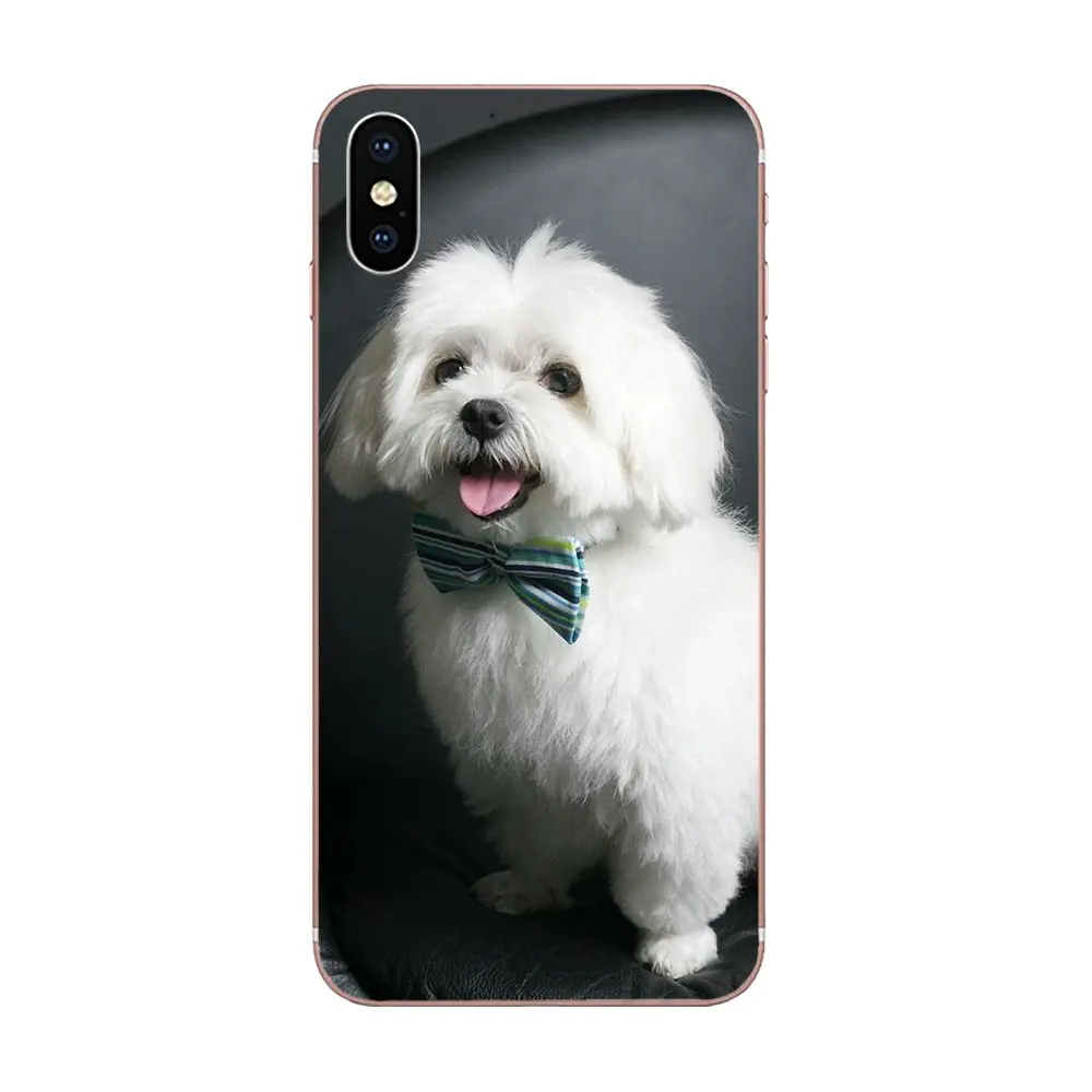 Мальты собаки мягкий чехол для мобильного телефона Huawei Nova 2 V20 Y3II Y5 Y5II Y6 Y6II Y7 Y9 G8 G9 GR3